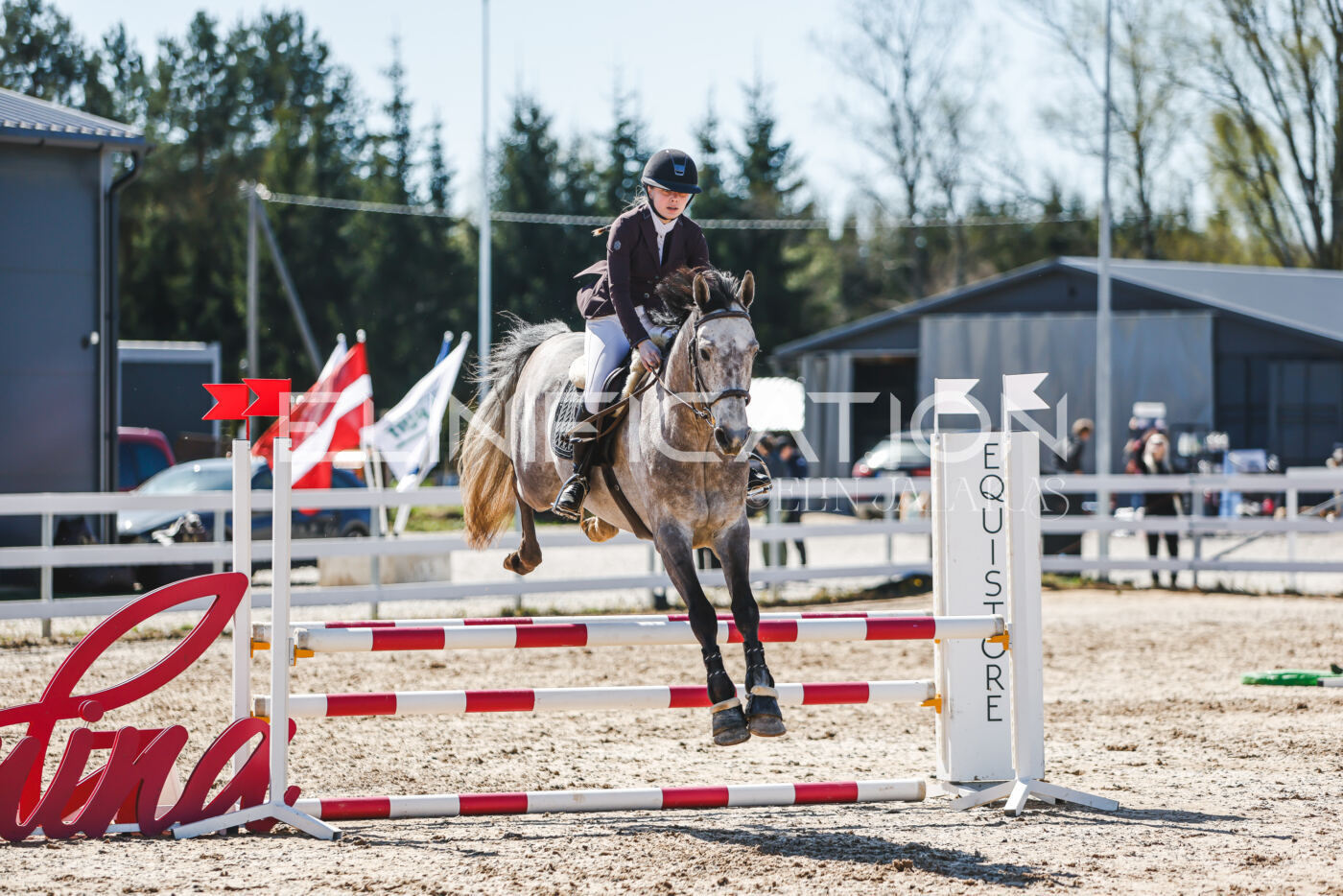 Gramina_Volber_2026_90_0706
