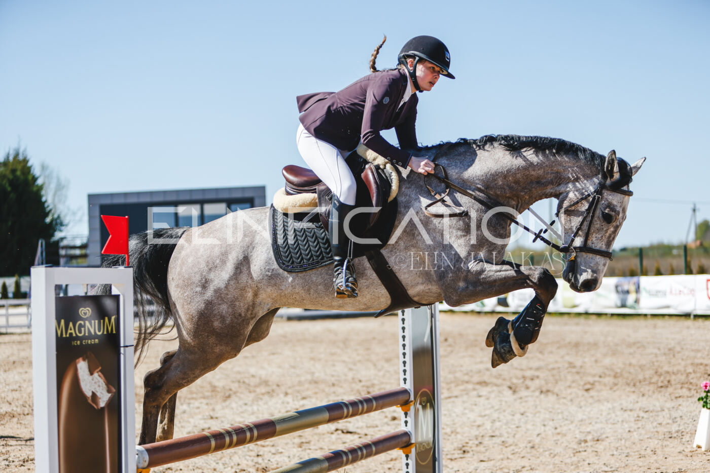 Gramina_Volber_2026_90_0707
