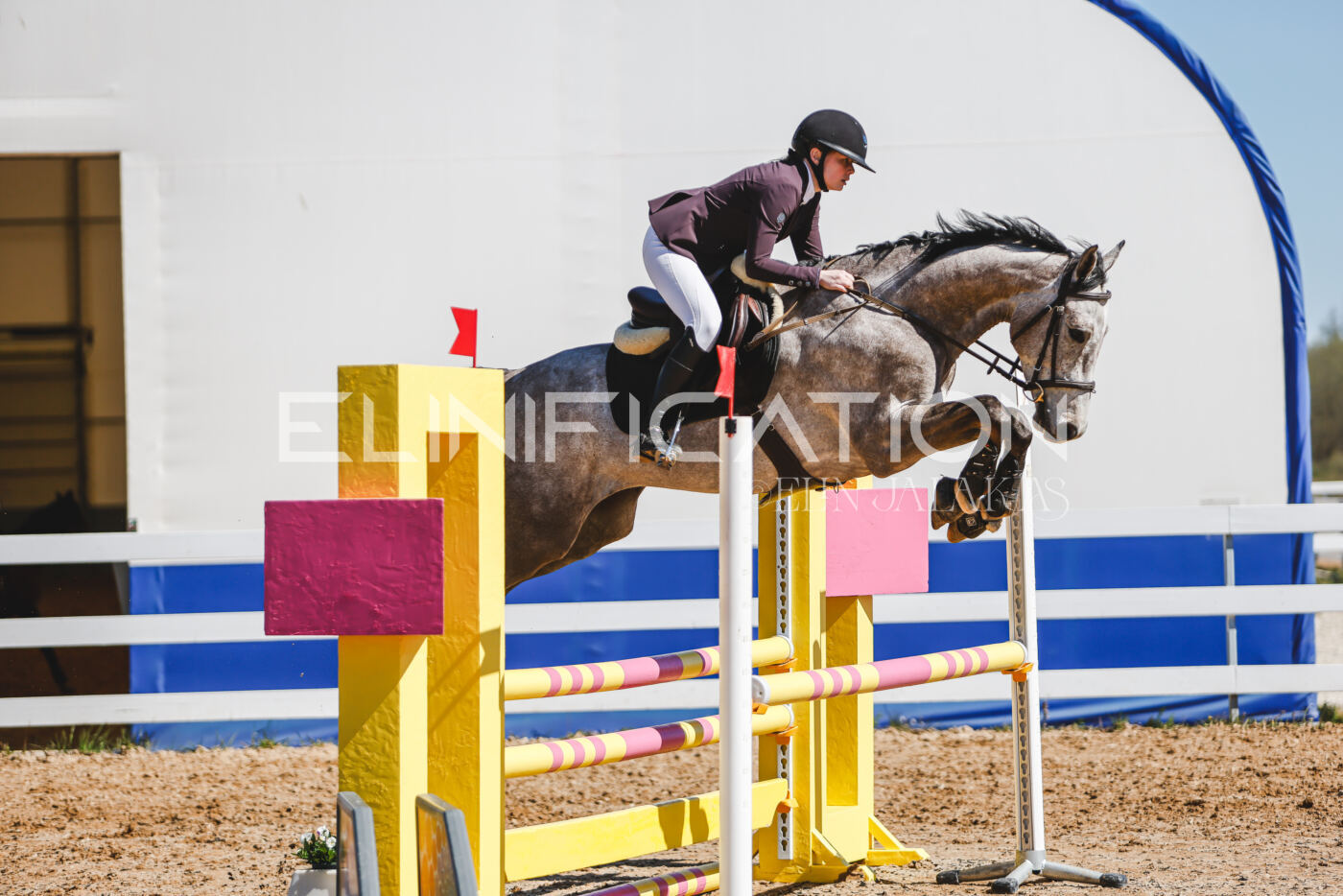 Gramina_Volber_2026_90_0711