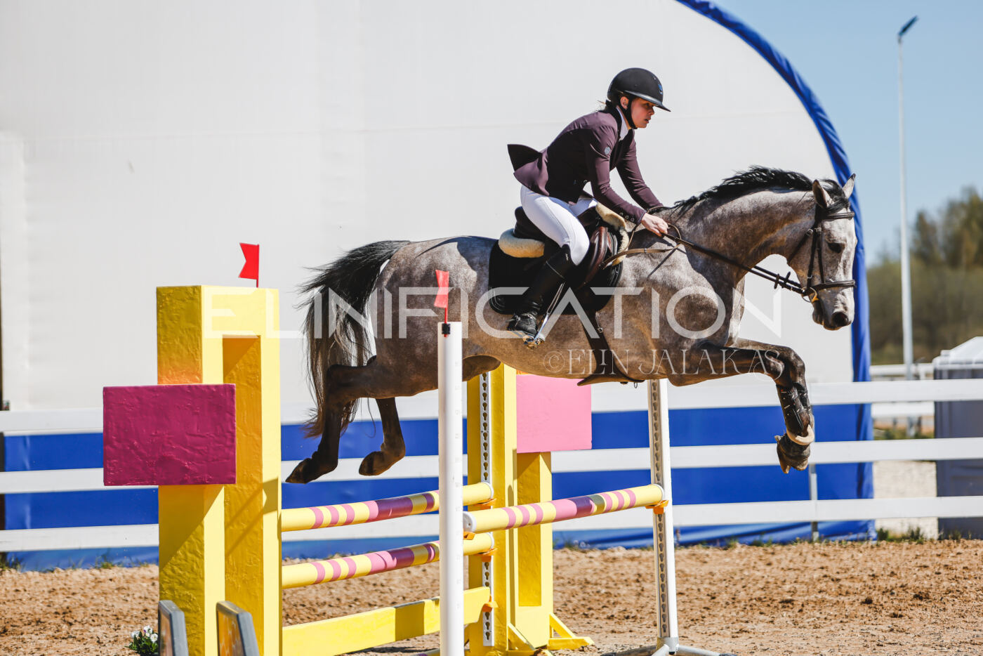 Gramina_Volber_2026_90_0713