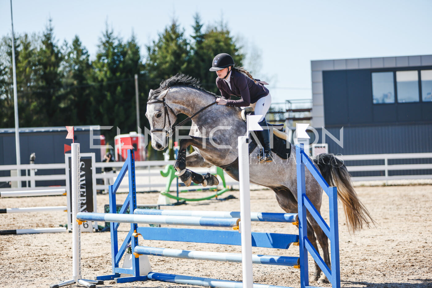 Gramina_Volber_2026_90_0714