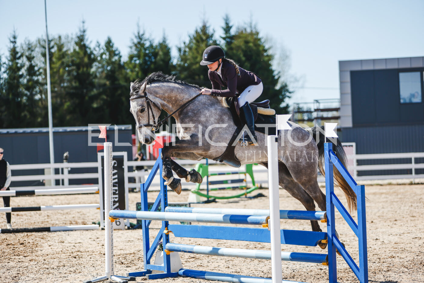 Gramina_Volber_2026_90_0716