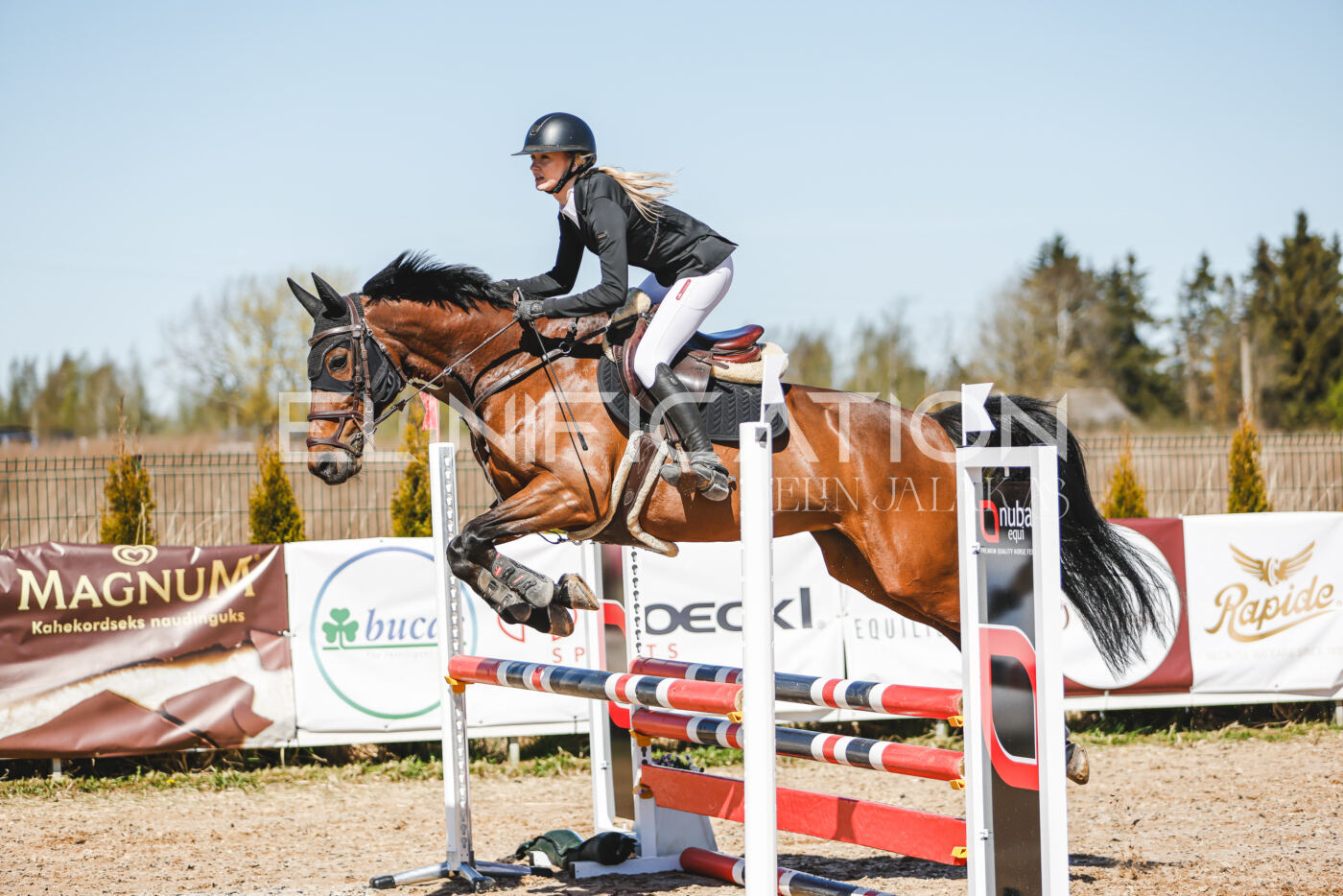 Gramina_Volber_2026_90_0722
