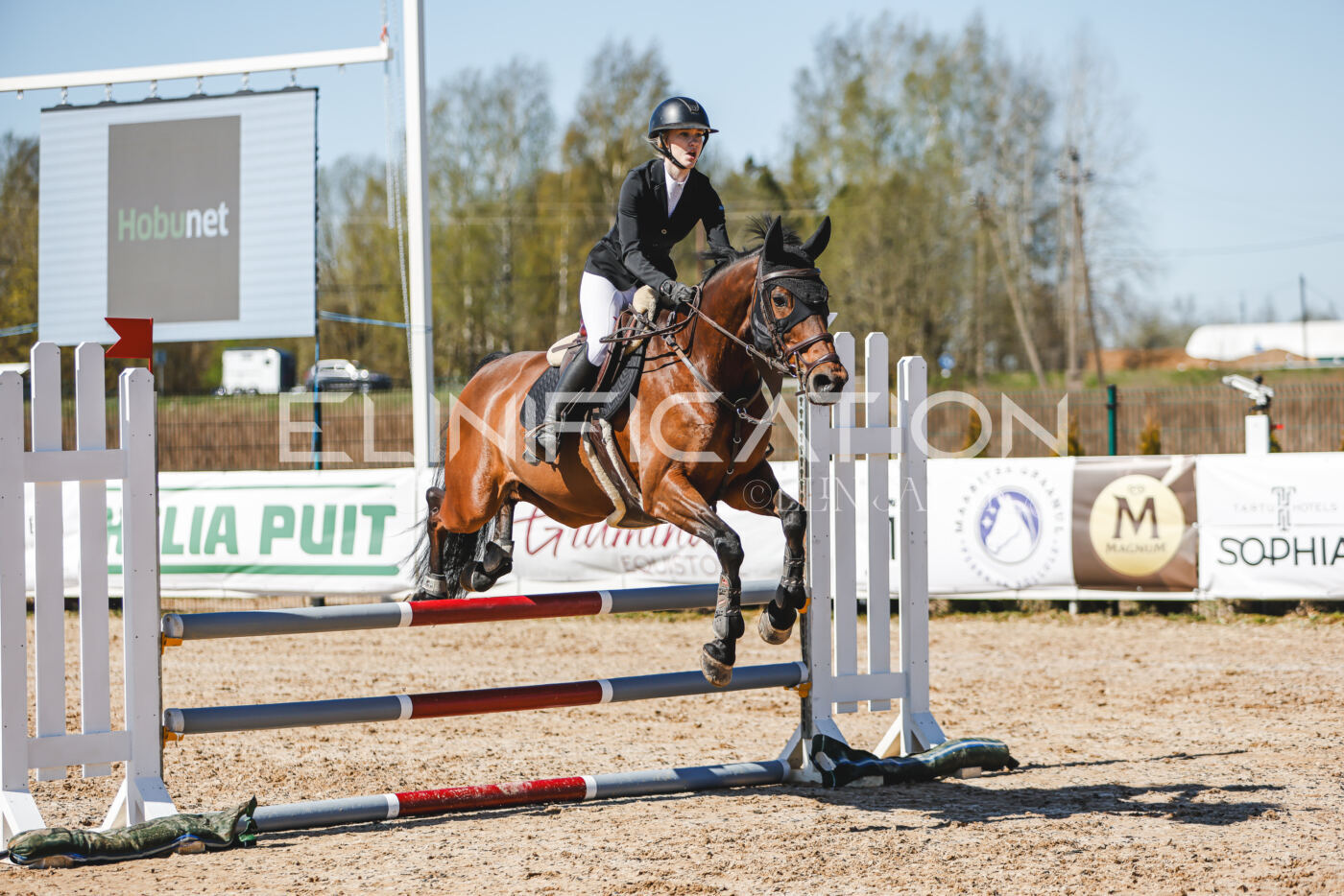 Gramina_Volber_2026_90_0729