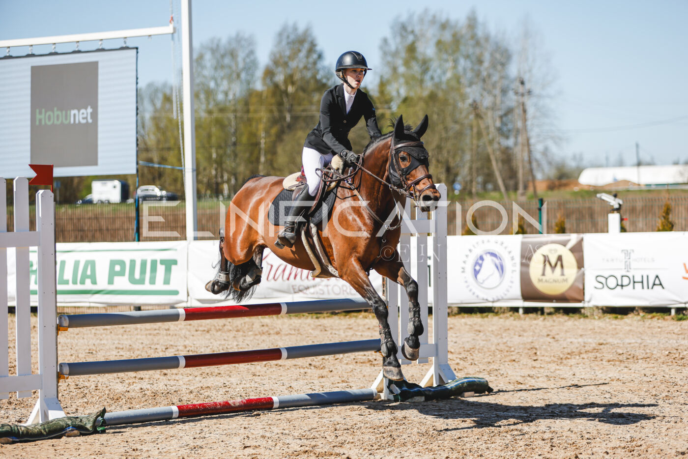Gramina_Volber_2026_90_0730