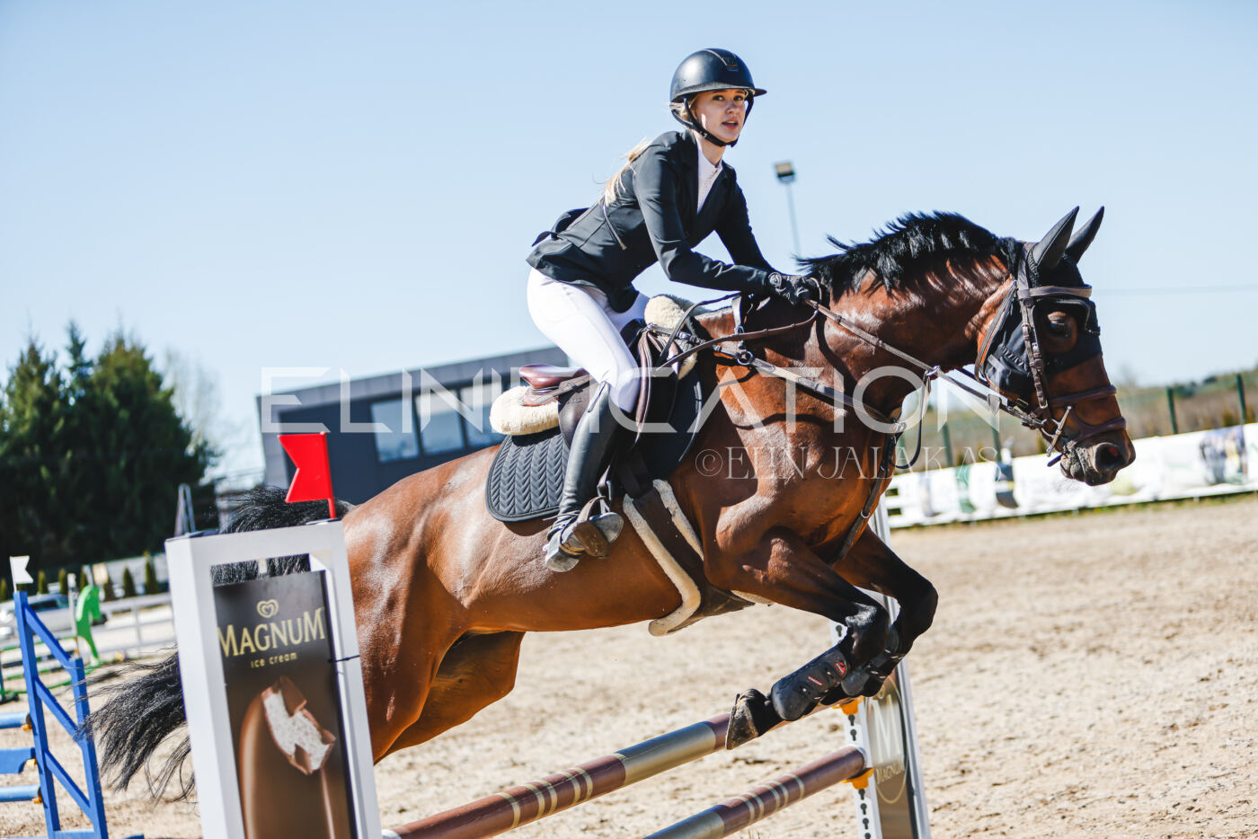 Gramina_Volber_2026_90_0744