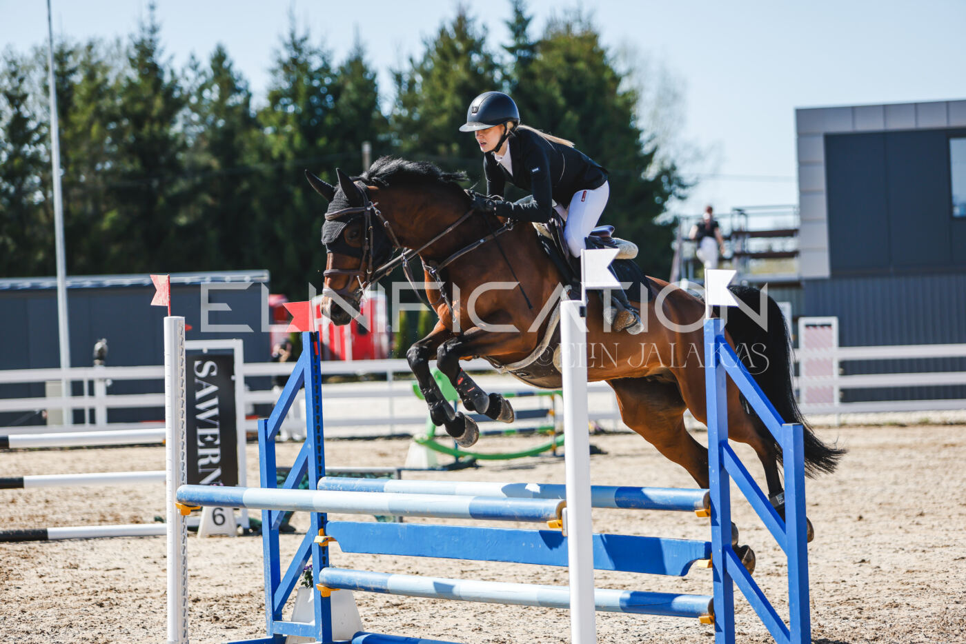 Gramina_Volber_2026_90_0752