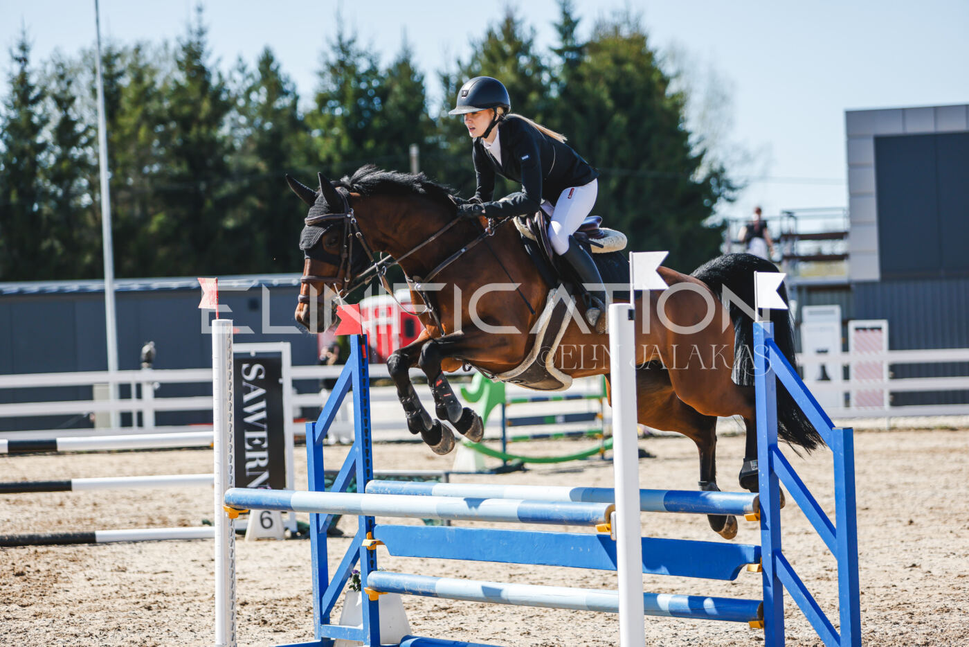 Gramina_Volber_2026_90_0753