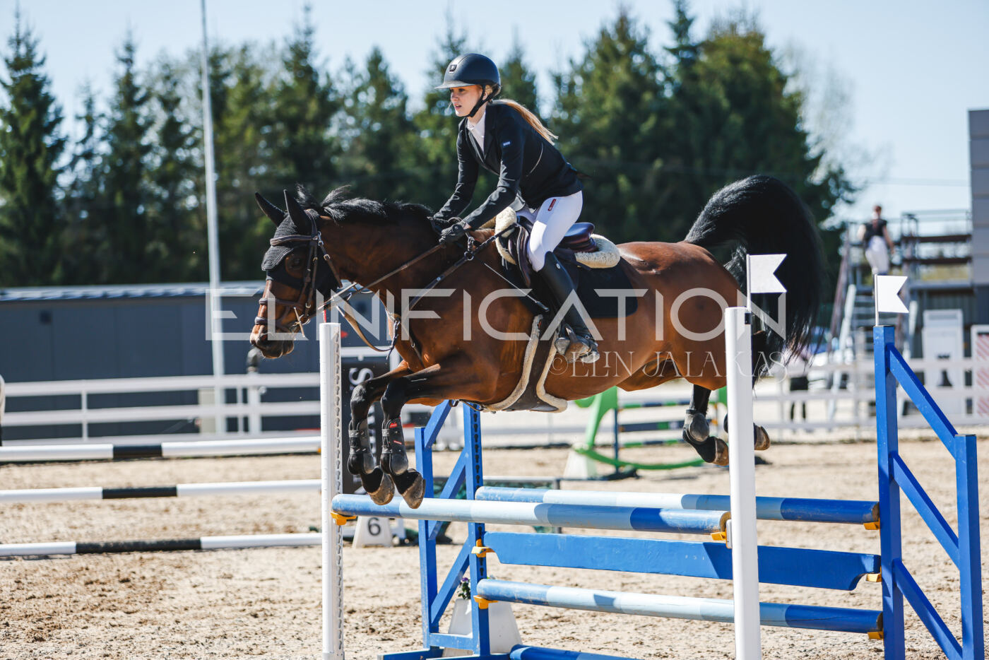 Gramina_Volber_2026_90_0755