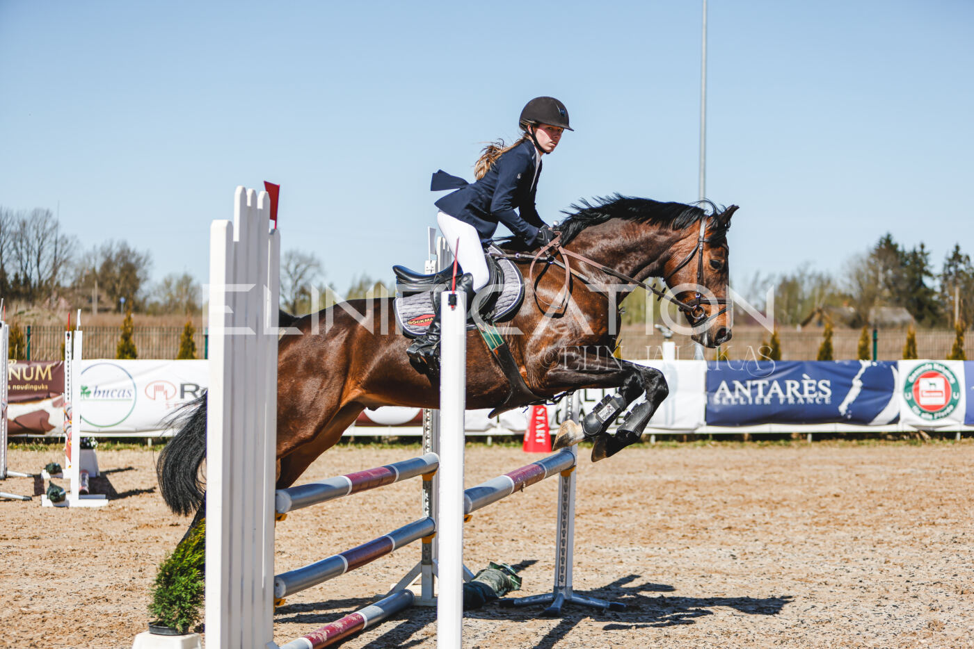 Gramina_Volber_2026_90_0769