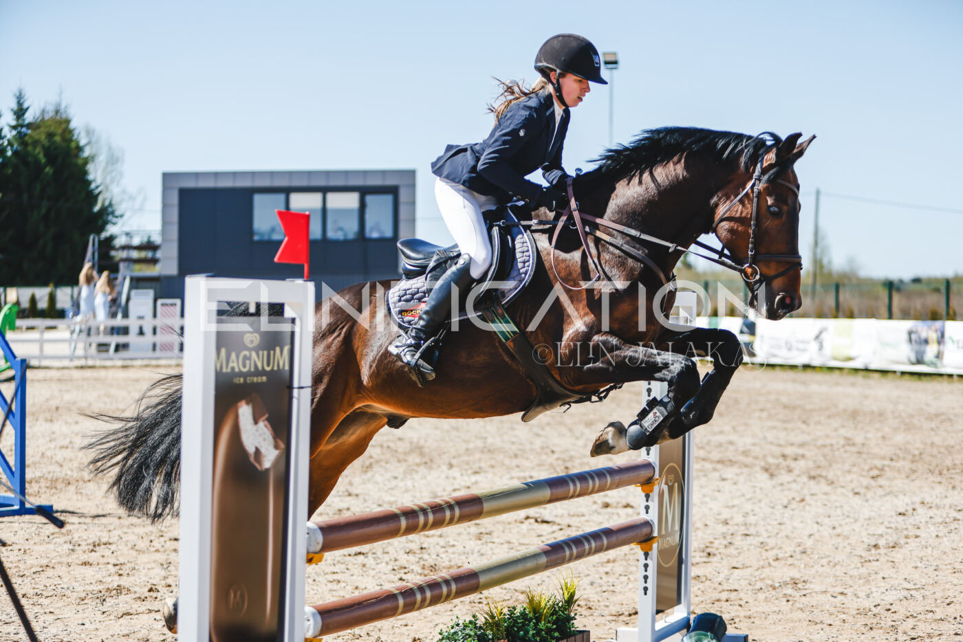 Gramina_Volber_2026_90_0778