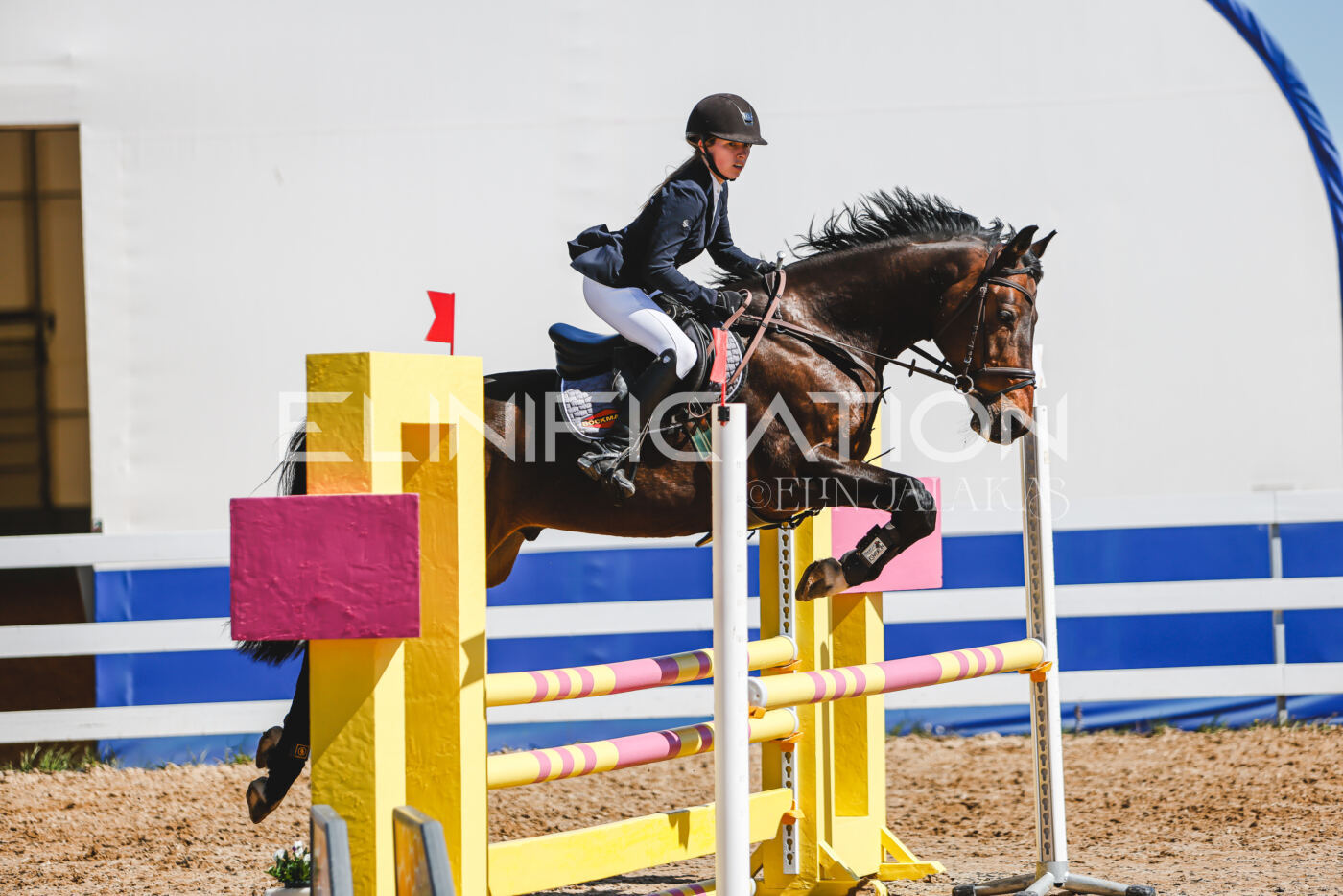 Gramina_Volber_2026_90_0783