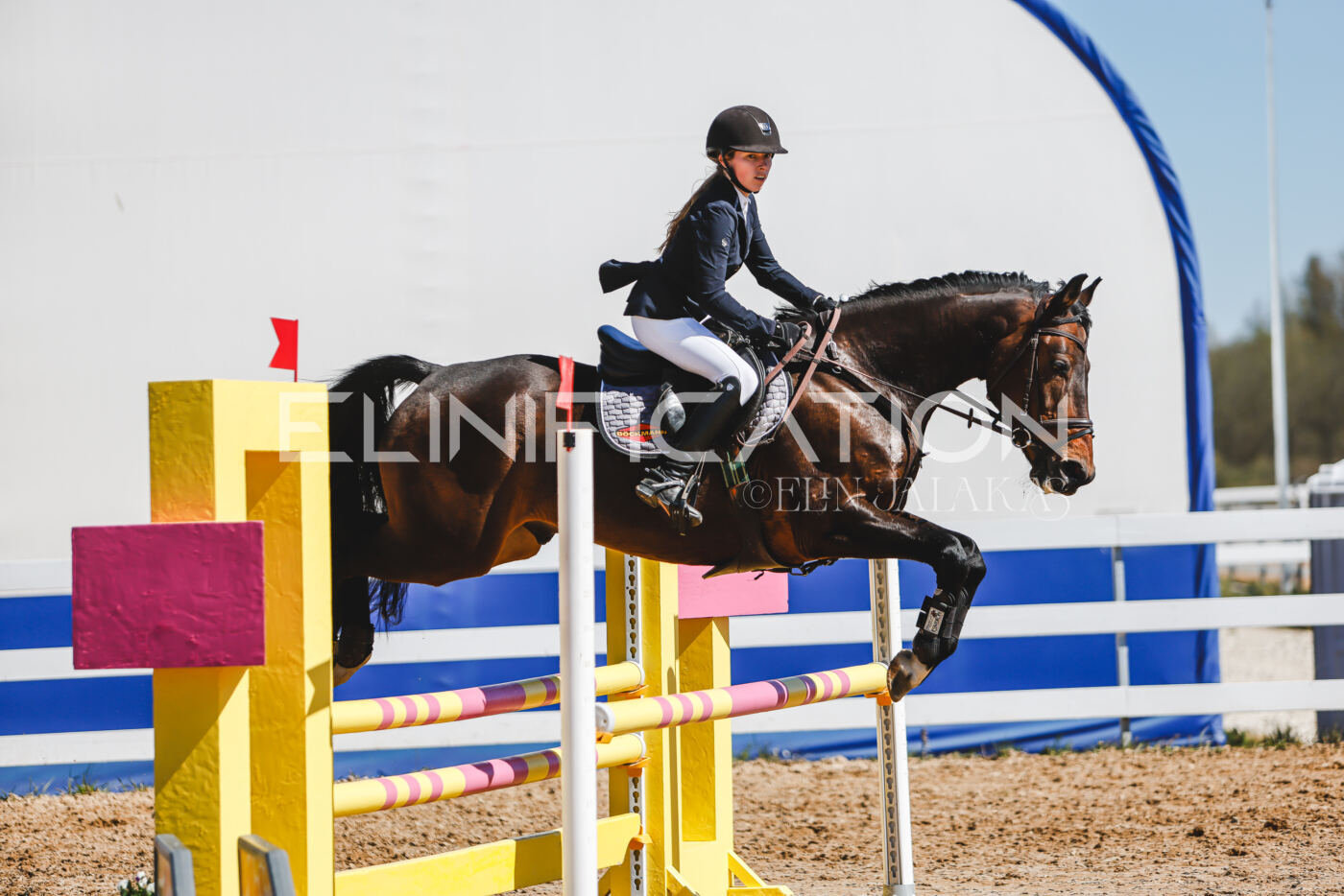 Gramina_Volber_2026_90_0785