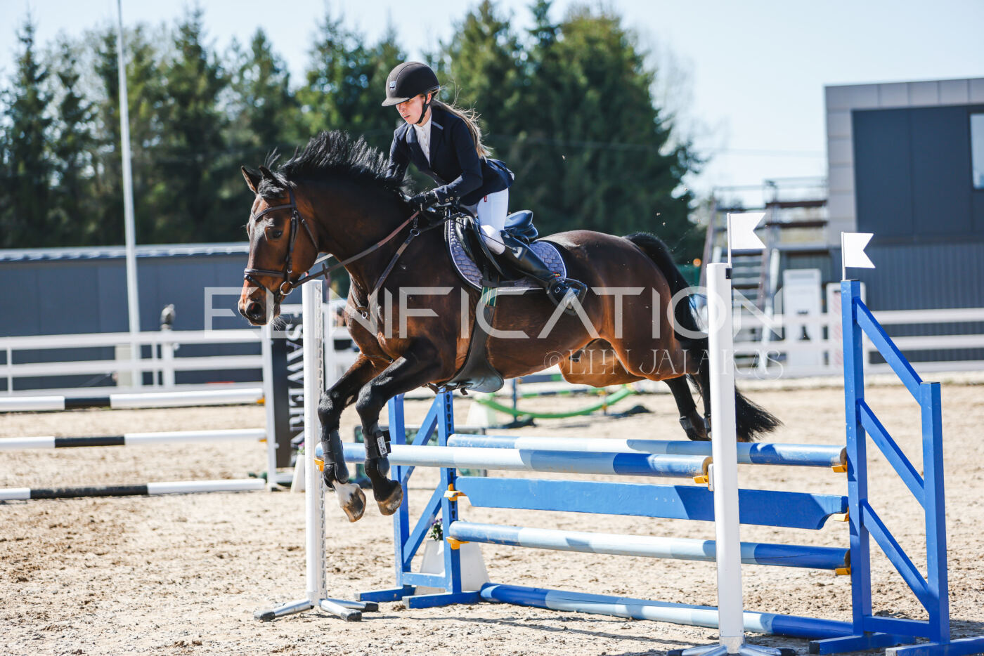 Gramina_Volber_2026_90_0791