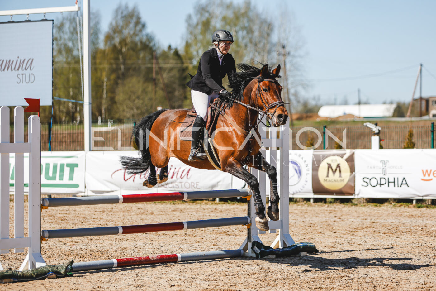 Gramina_Volber_2026_90_0800