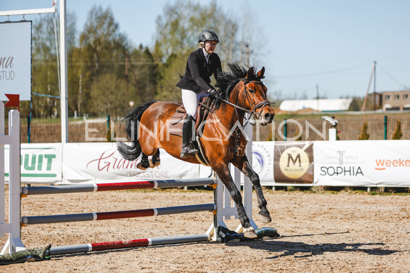 Gramina_Volber_2026_90_0801