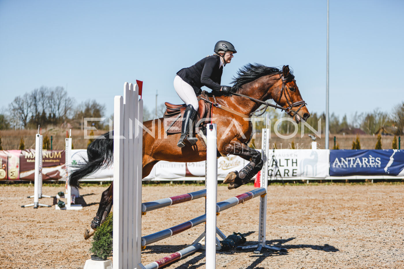 Gramina_Volber_2026_90_0802