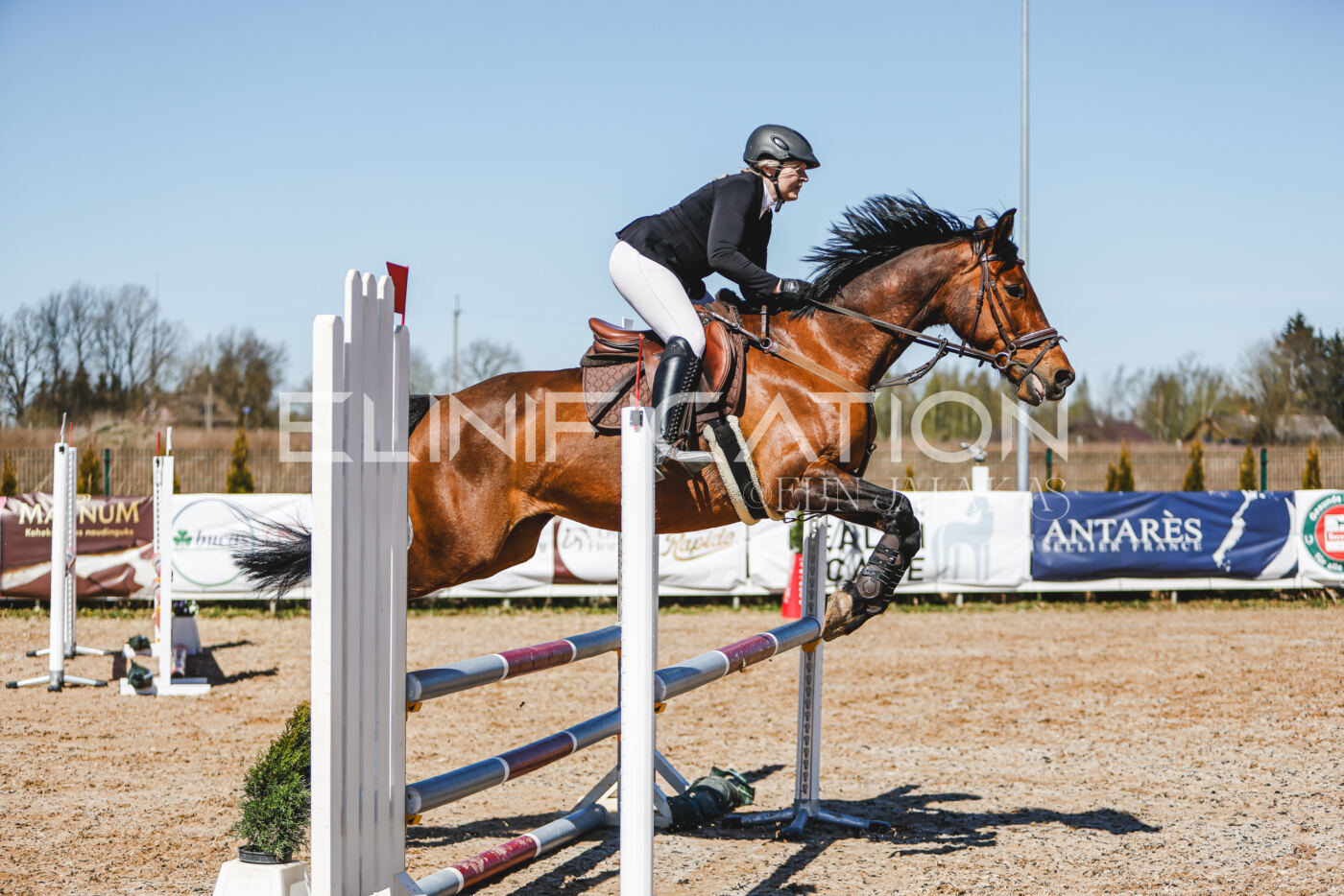 Gramina_Volber_2026_90_0803