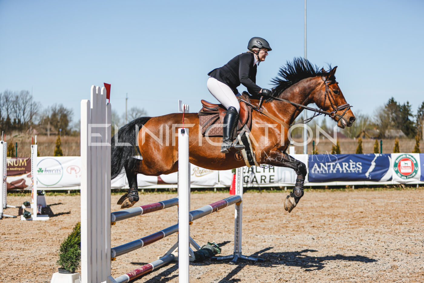 Gramina_Volber_2026_90_0804