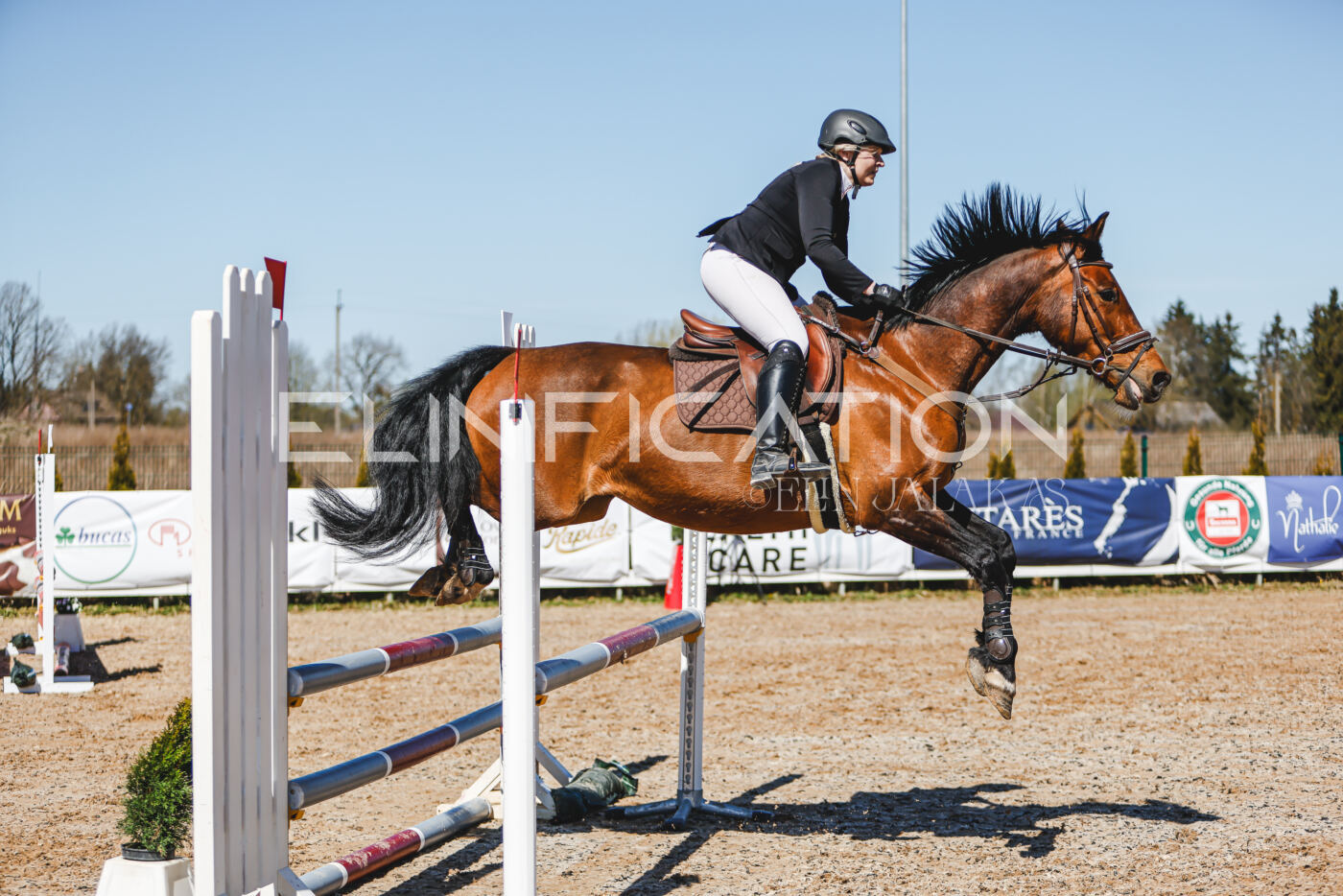Gramina_Volber_2026_90_0805