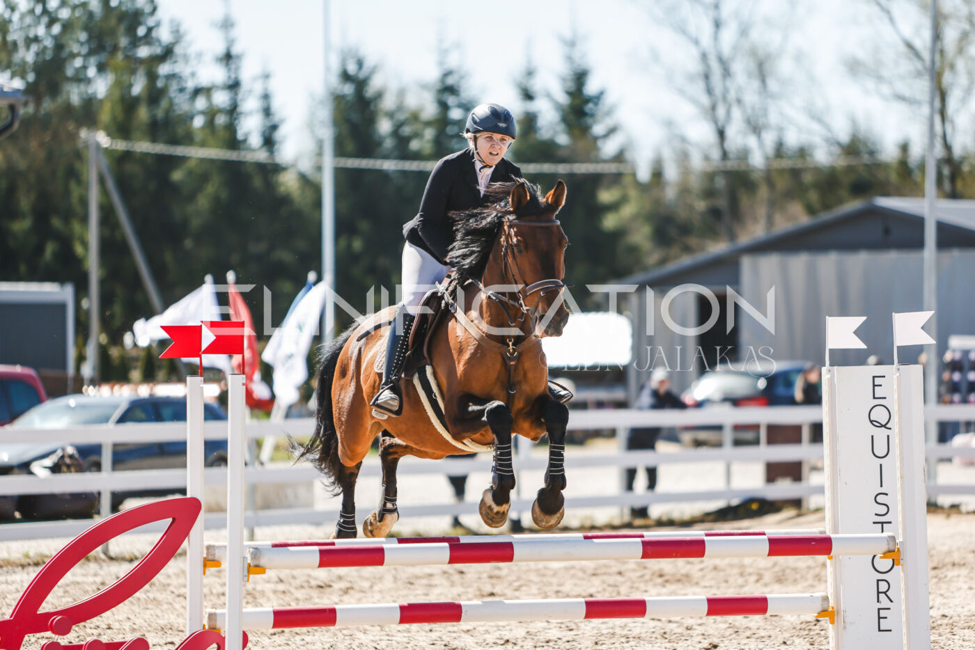 Gramina_Volber_2026_90_0808