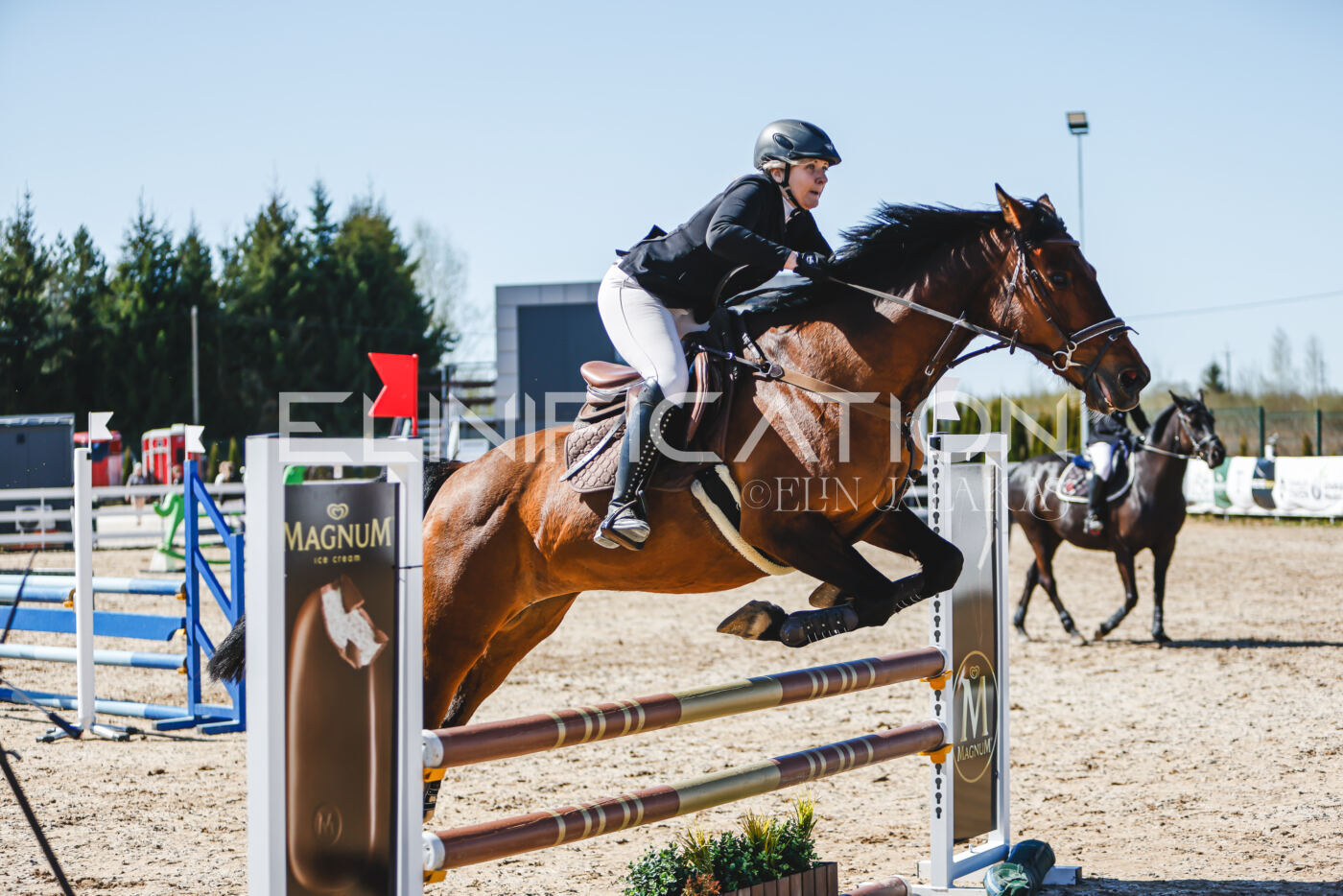 Gramina_Volber_2026_90_0810