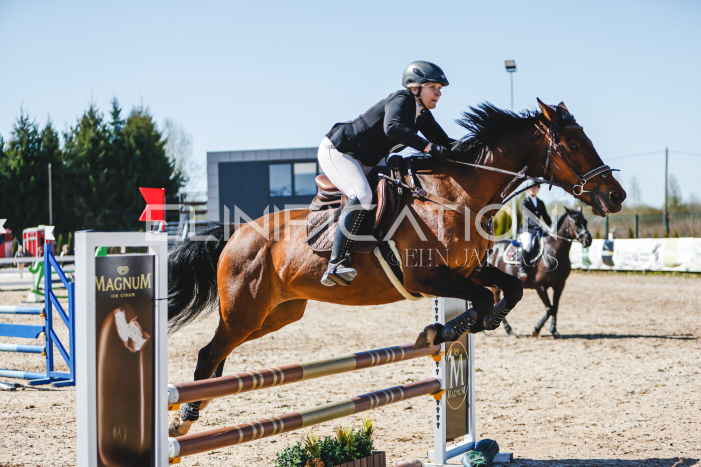 Gramina_Volber_2026_90_0811