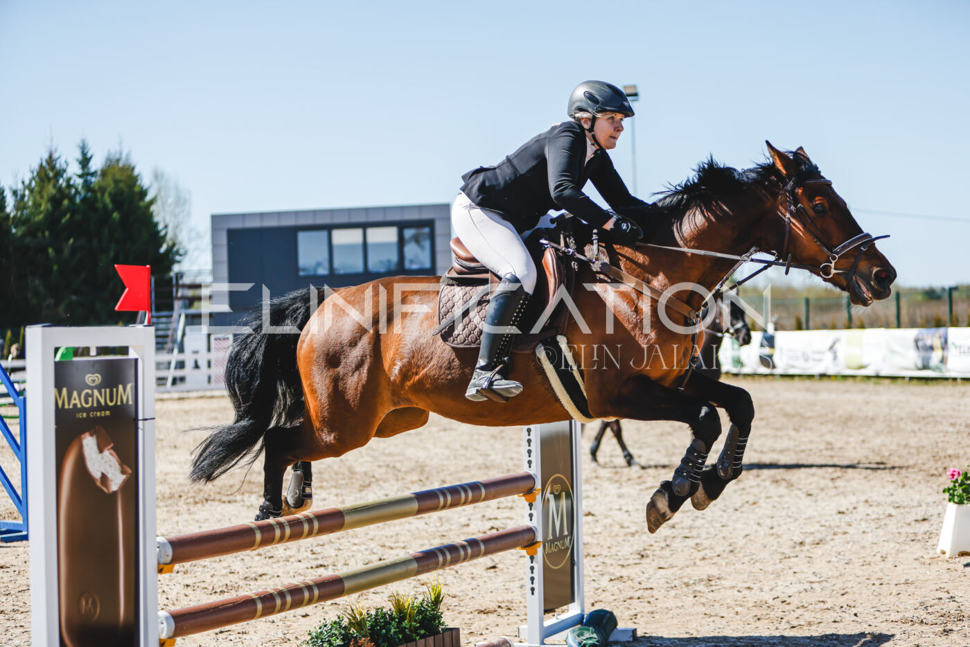 Gramina_Volber_2026_90_0812