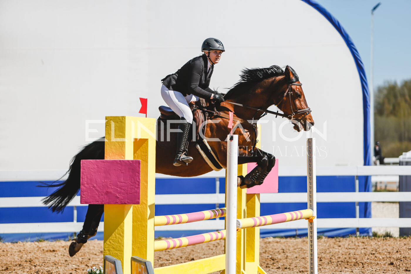 Gramina_Volber_2026_90_0813