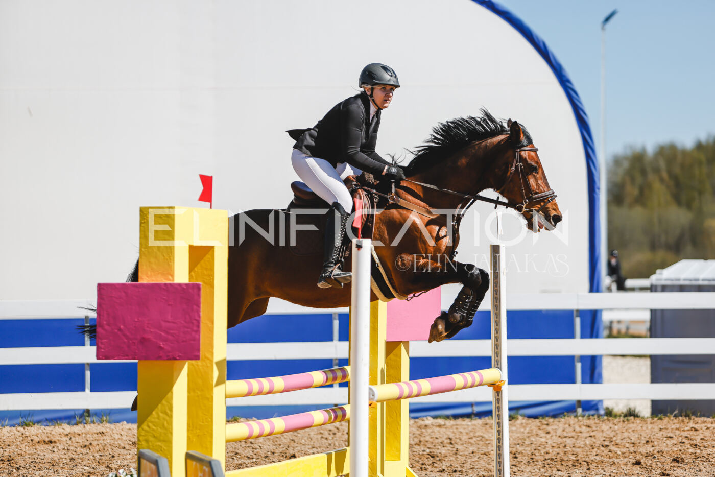 Gramina_Volber_2026_90_0814