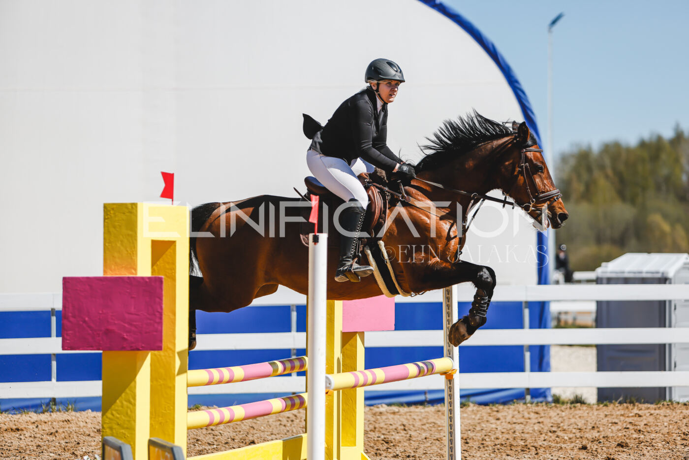 Gramina_Volber_2026_90_0815