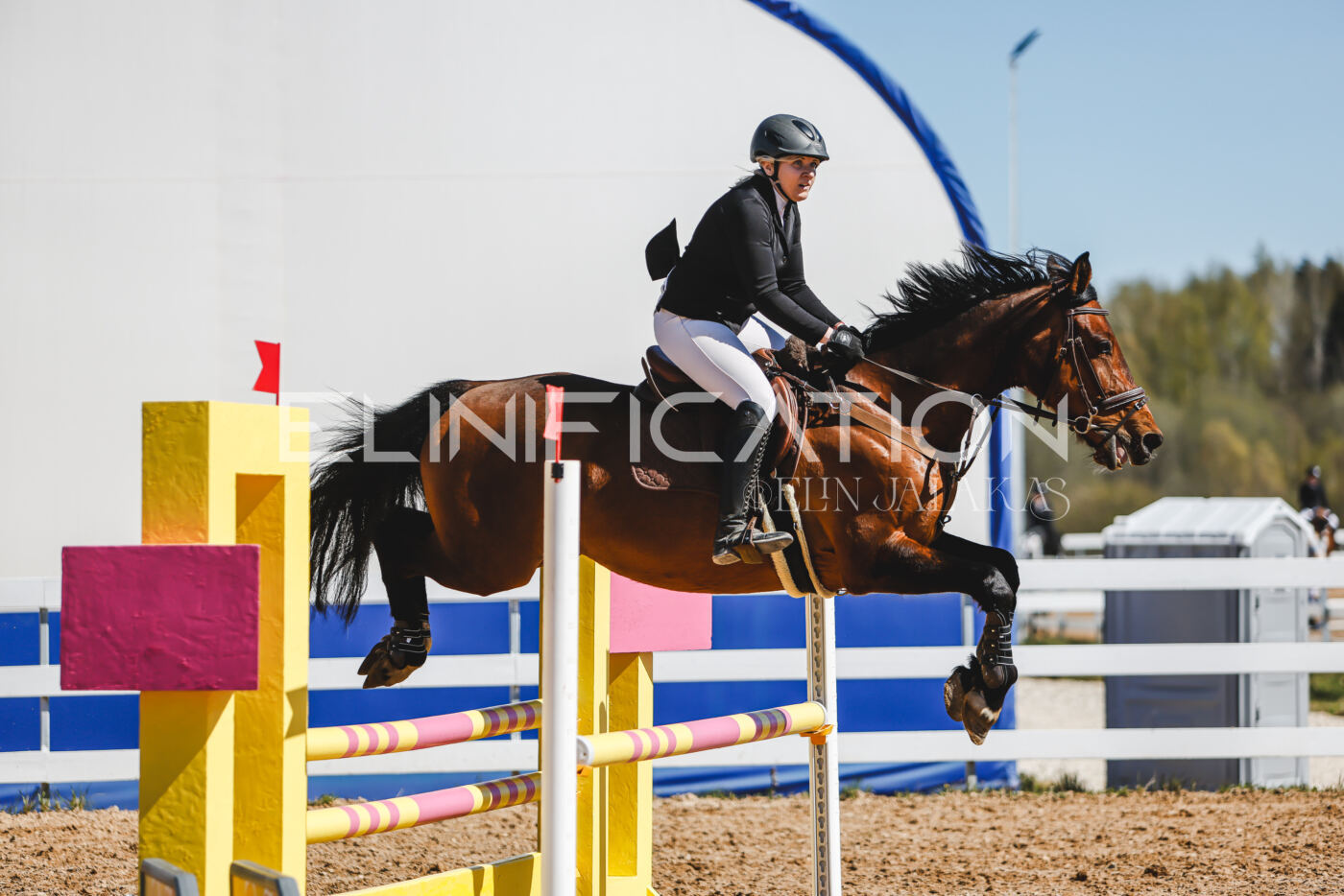Gramina_Volber_2026_90_0816