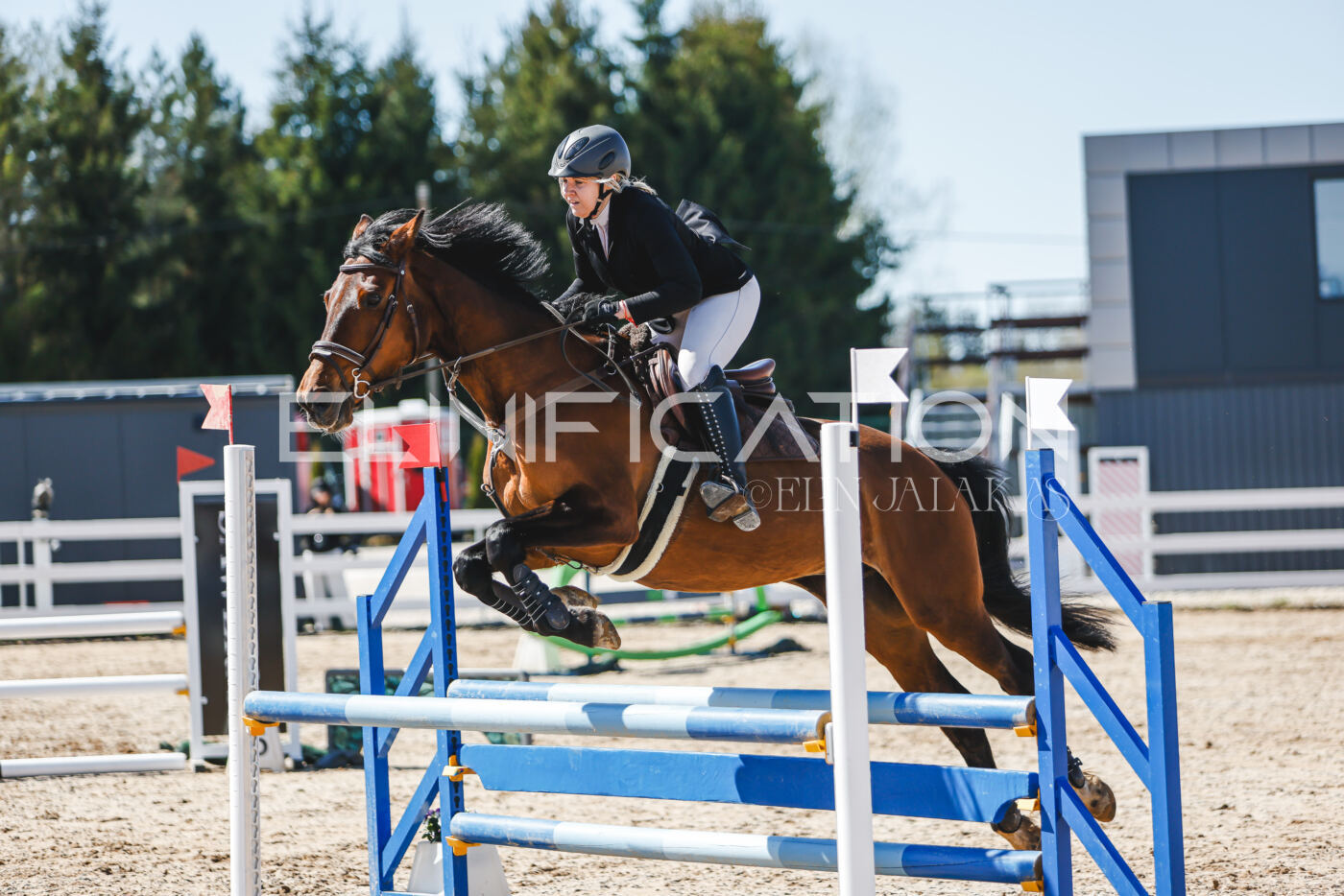 Gramina_Volber_2026_90_0817