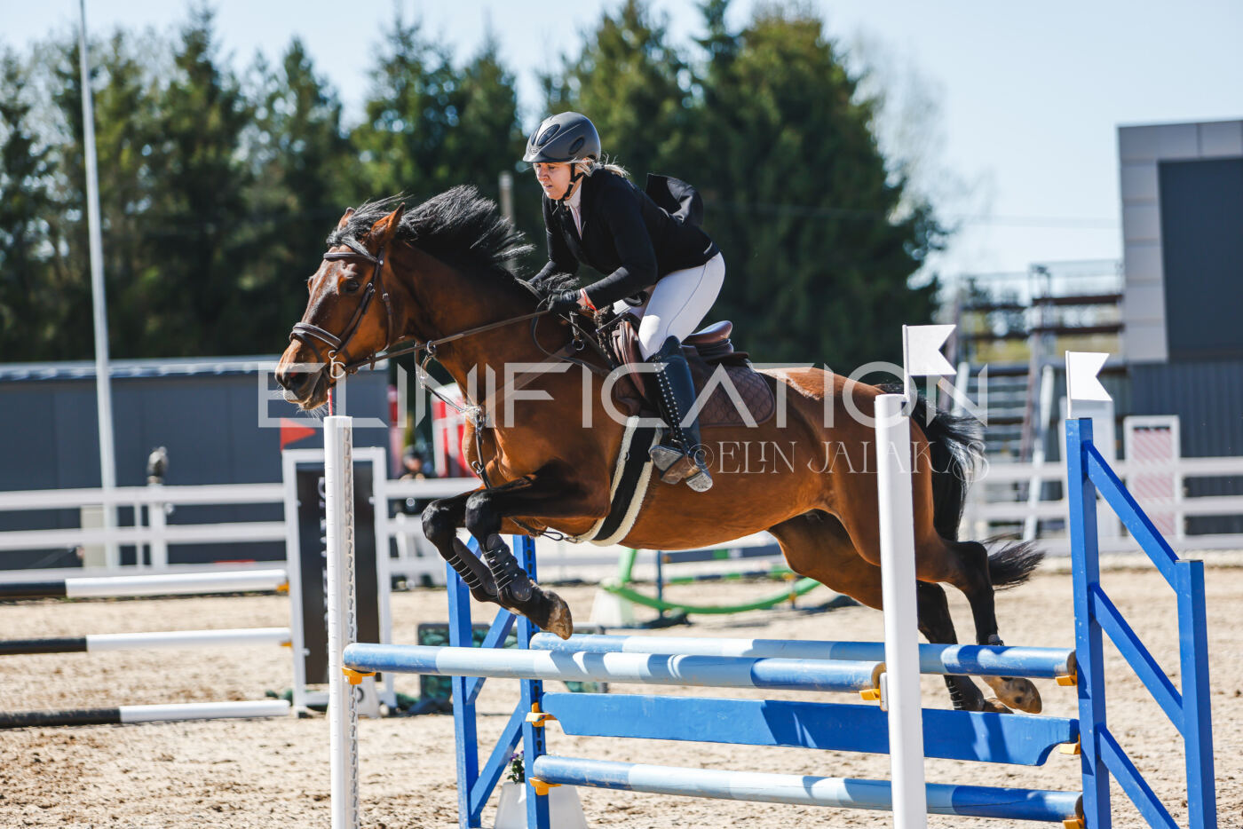 Gramina_Volber_2026_90_0818