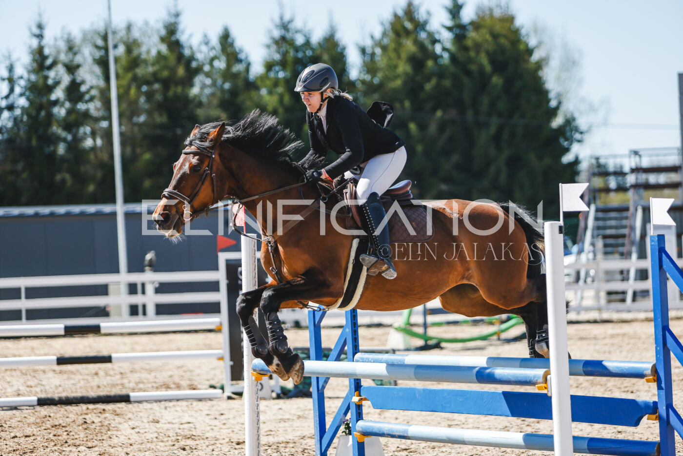 Gramina_Volber_2026_90_0819