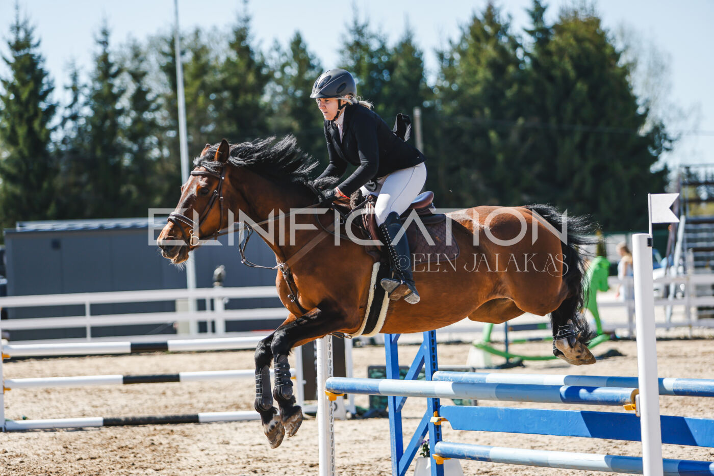 Gramina_Volber_2026_90_0820