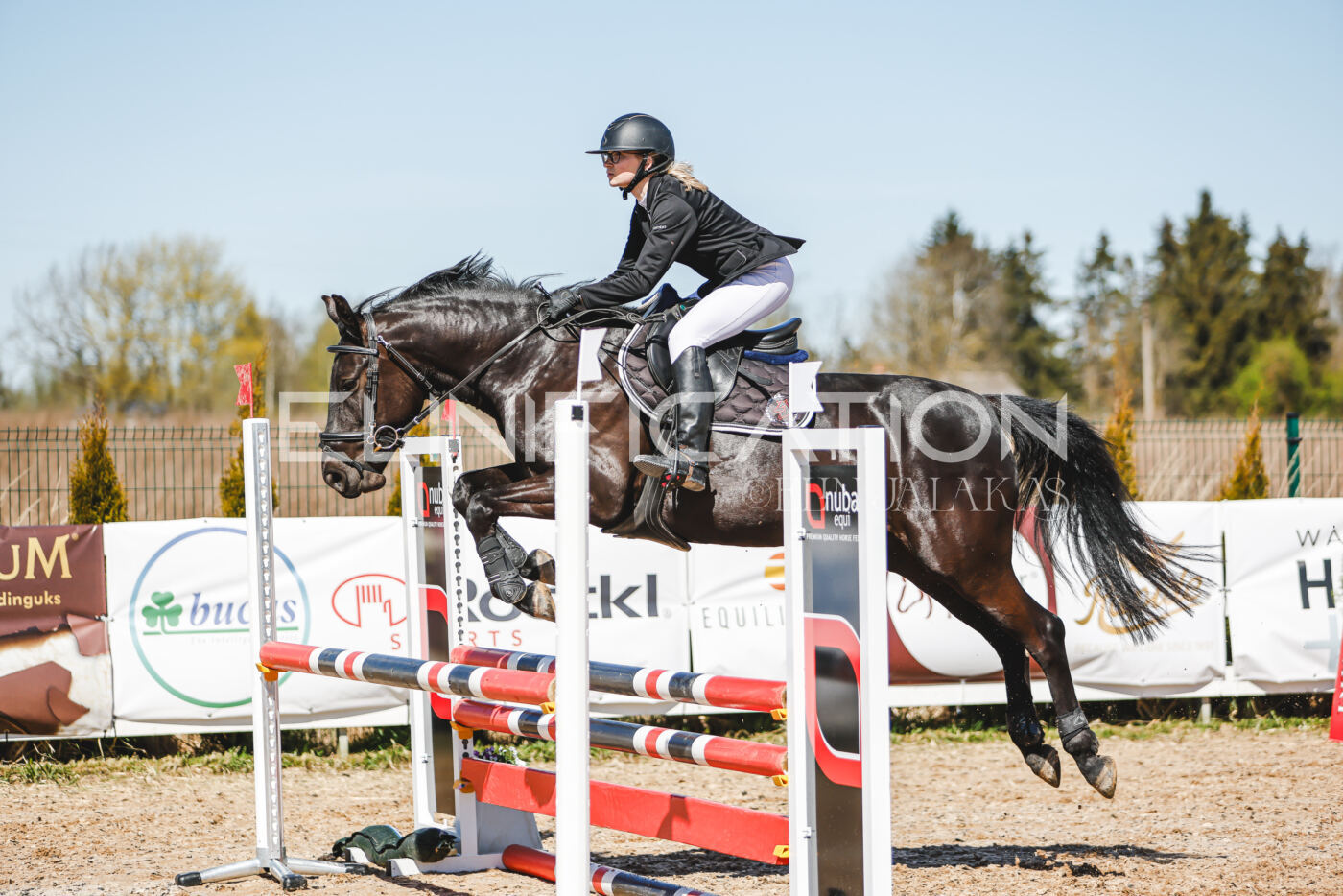 Gramina_Volber_2026_90_0822