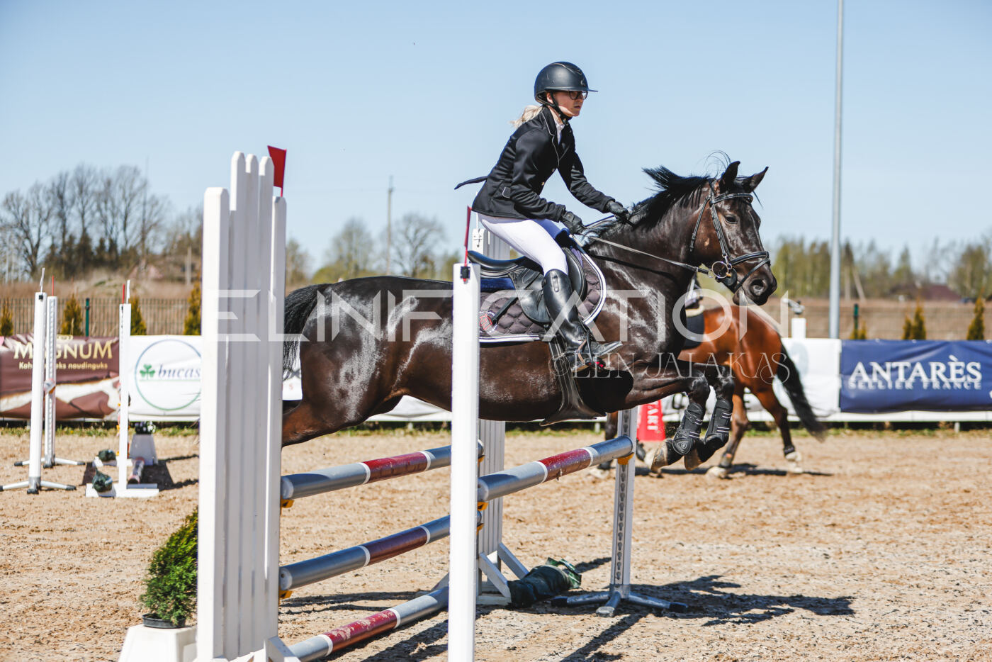 Gramina_Volber_2026_90_0831
