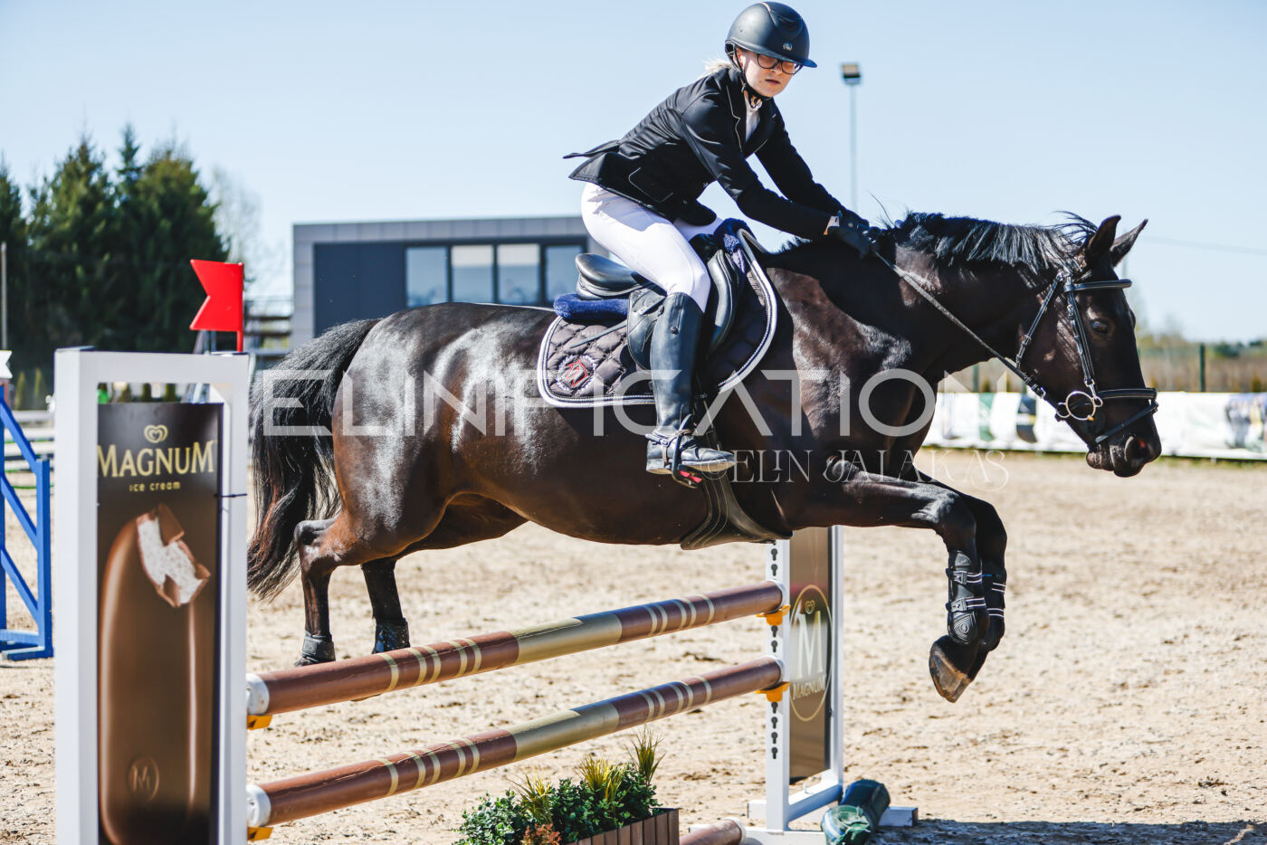 Gramina_Volber_2026_90_0845