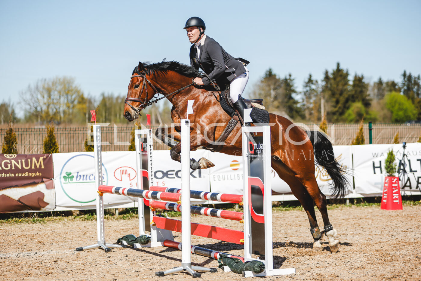 Gramina_Volber_2026_90_0854