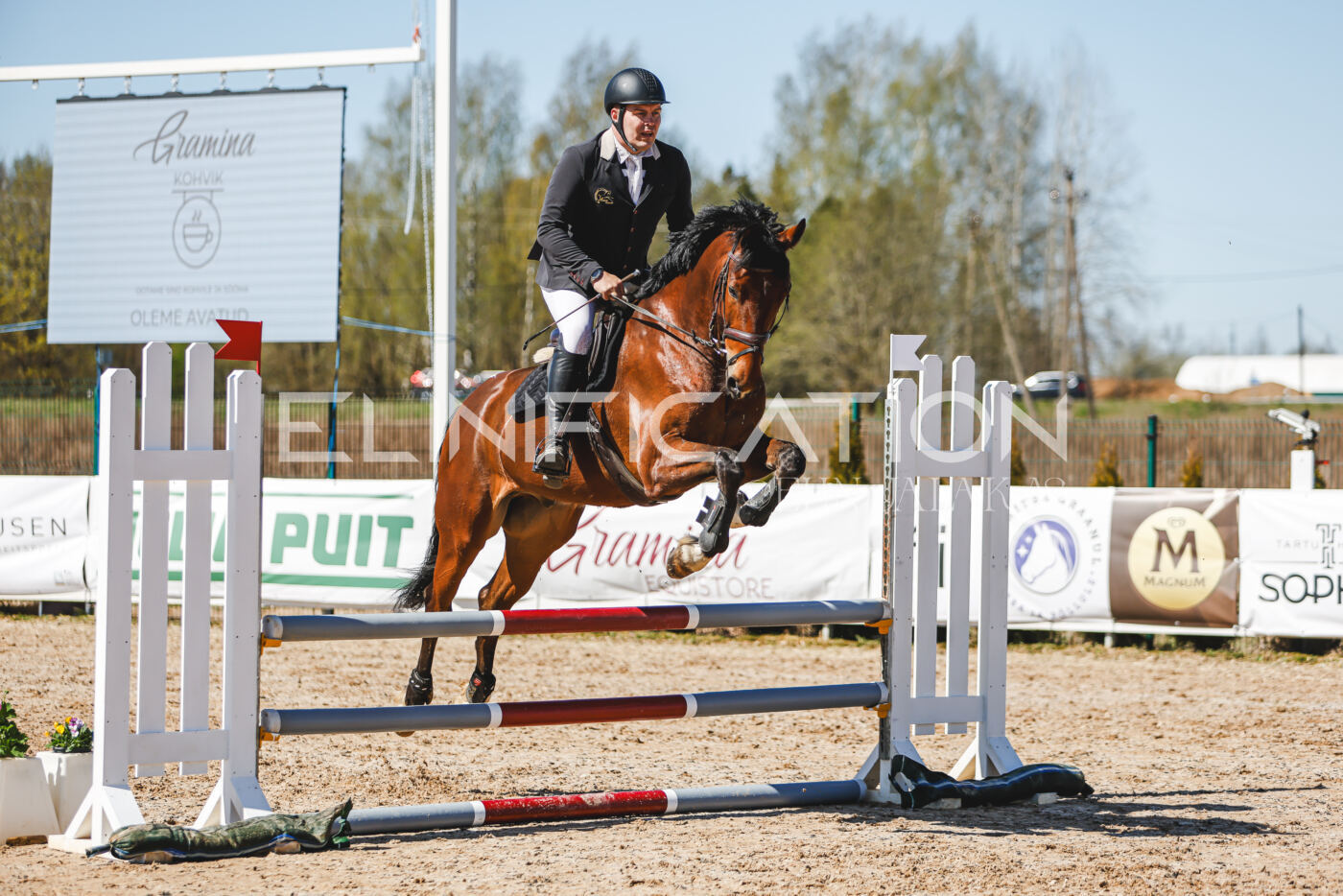 Gramina_Volber_2026_90_0859