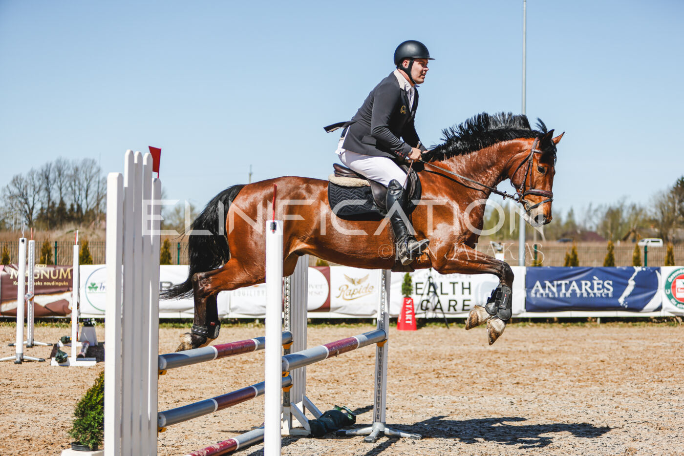 Gramina_Volber_2026_90_0868