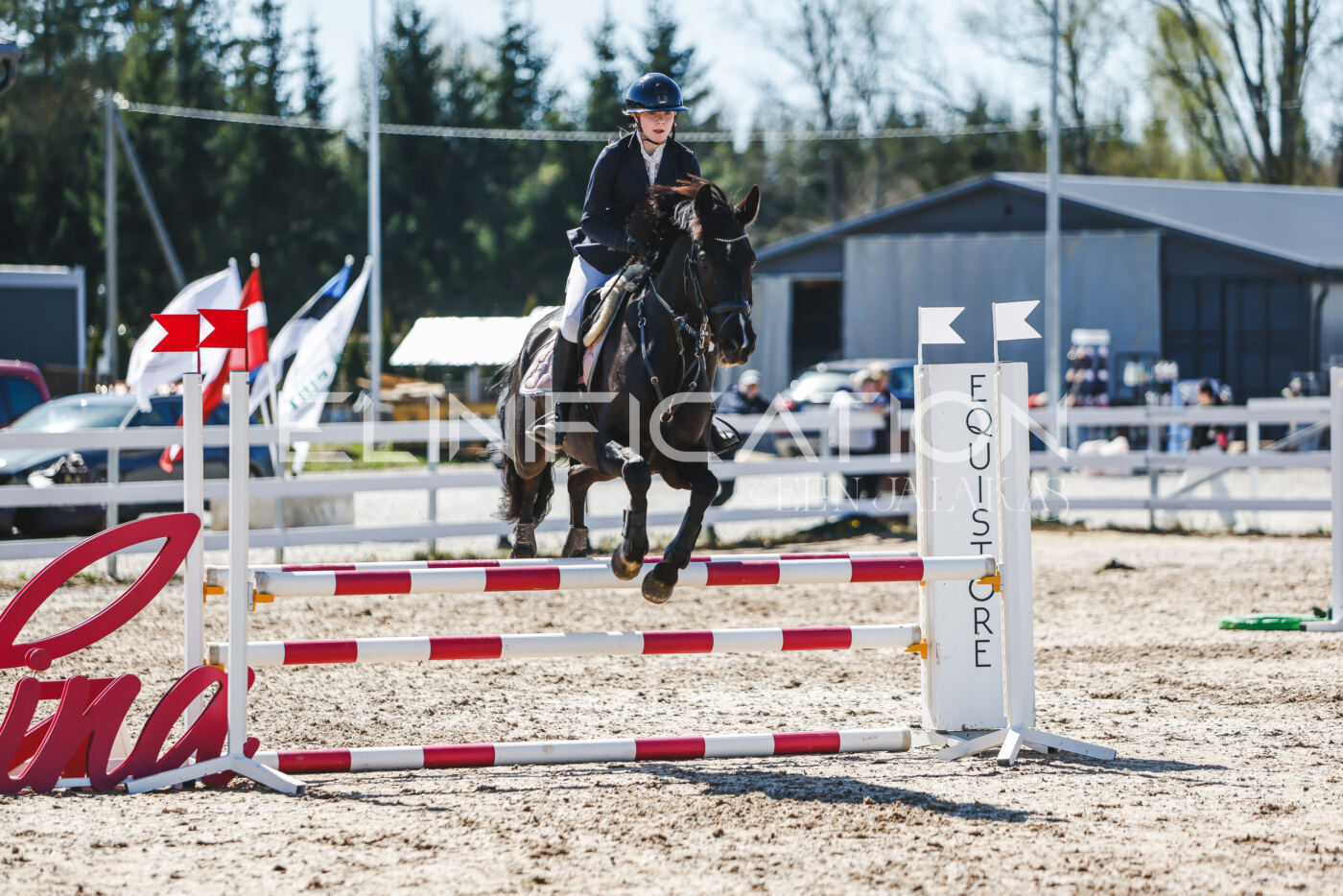 Gramina_Volber_2026_90_0906