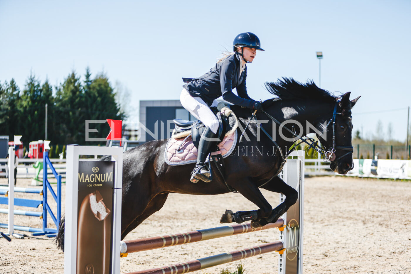 Gramina_Volber_2026_90_0907