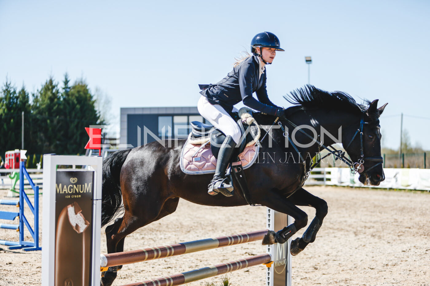 Gramina_Volber_2026_90_0908