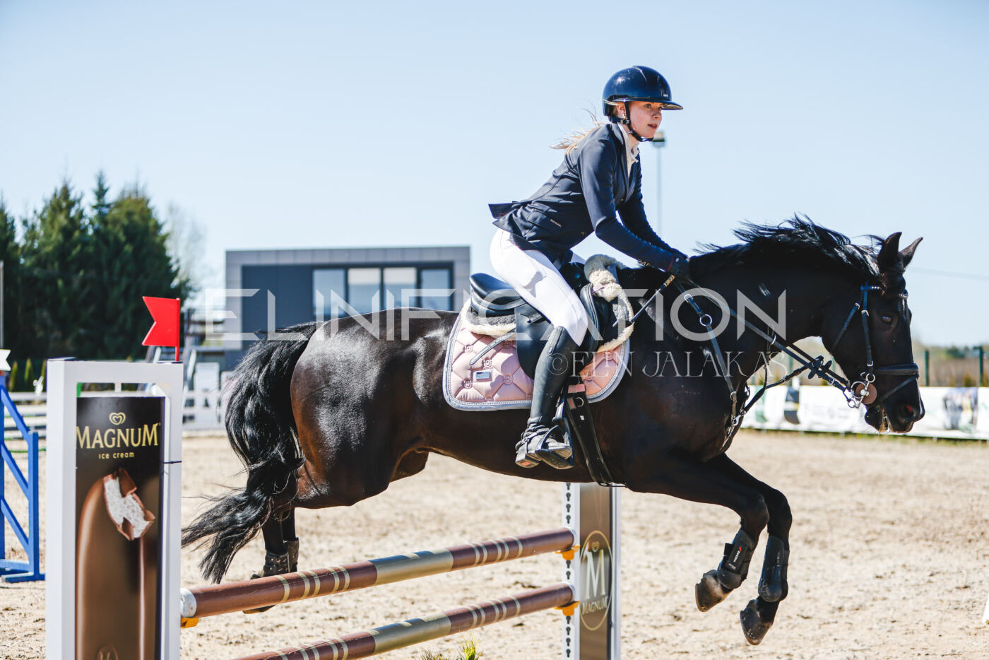Gramina_Volber_2026_90_0909