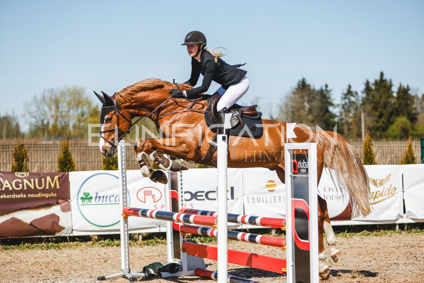 Gramina_Volber_2026_90_0917