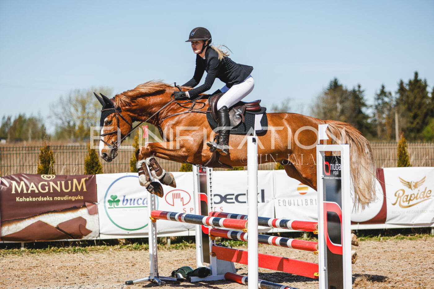 Gramina_Volber_2026_90_0918