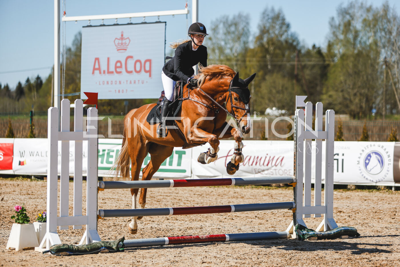 Gramina_Volber_2026_90_0923