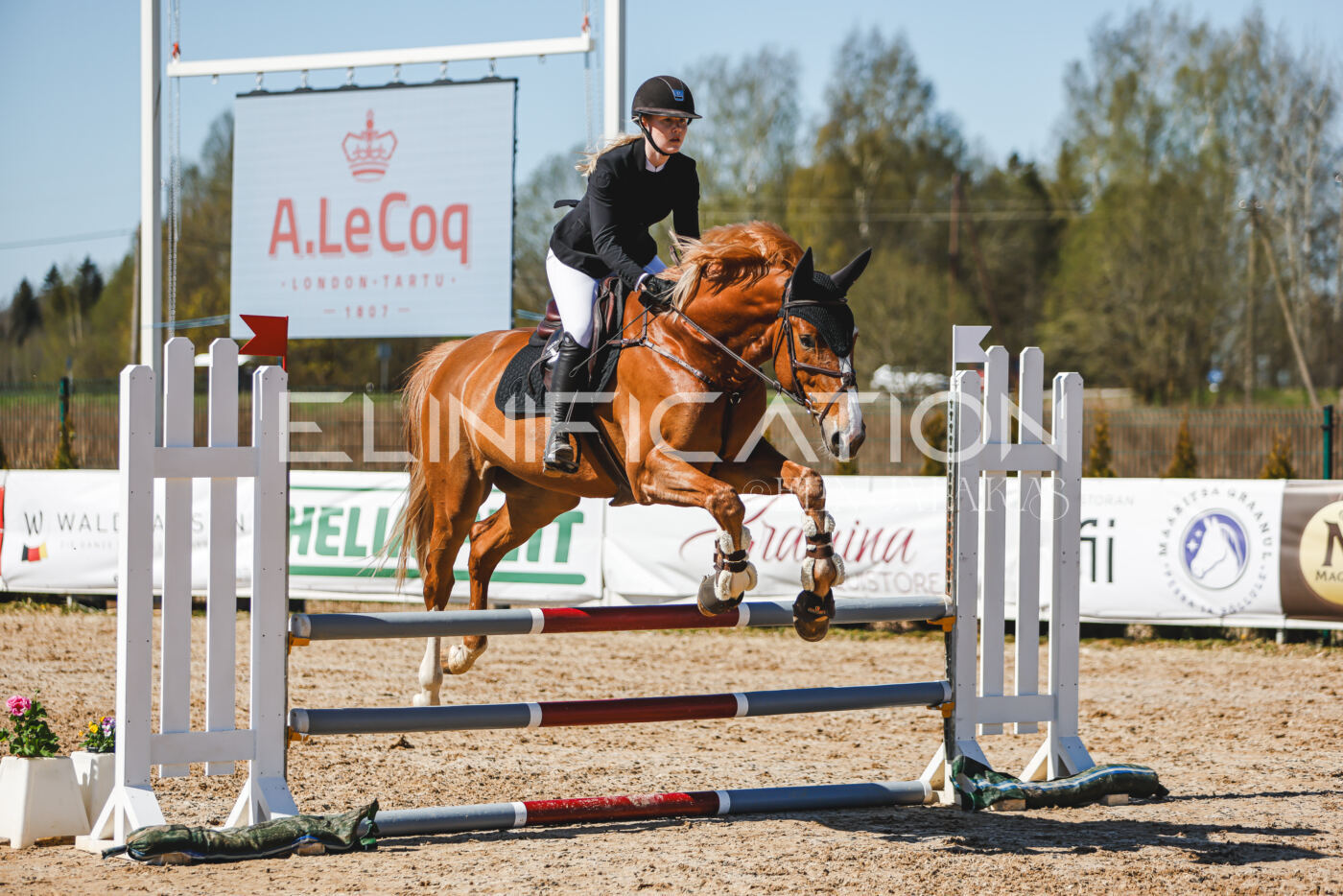 Gramina_Volber_2026_90_0924